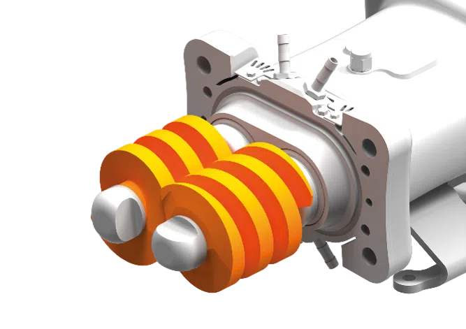 double-vis-wangen-pumps