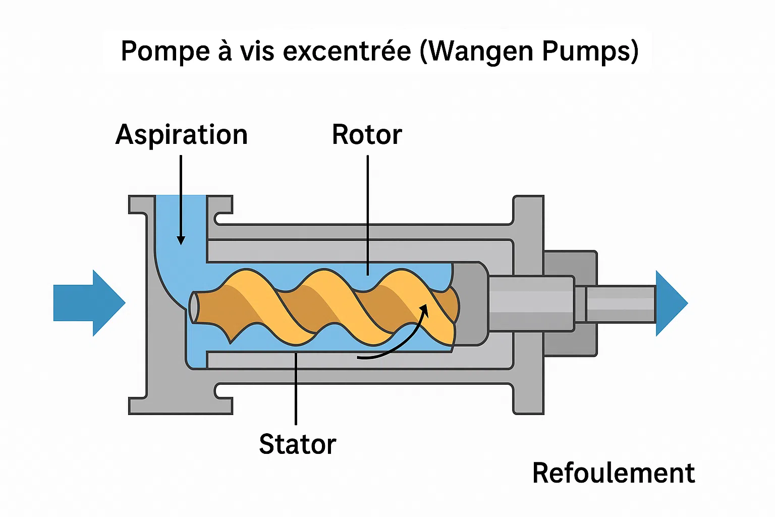 schema-pompe-vis-excentree-wangen-pumps